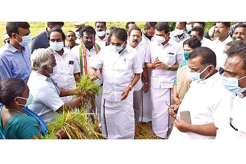 Ministers taking stock of damage to crops at Shenbagaramanpudur taluk in Kanniyakumari on Tuesday
