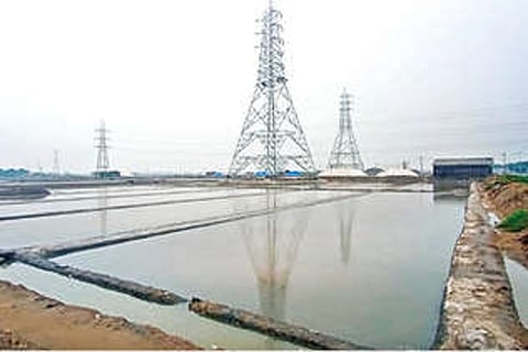 Salt production stopped due to rains in Thoothukudi