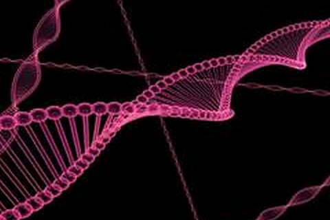 Patent law may curb unethical human-genome editing