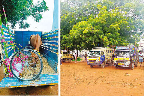 14 horses detained with carts prior to rekla race on Outer Ring Road