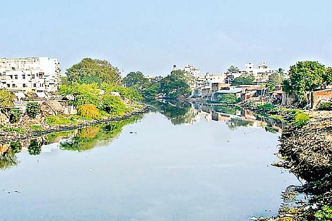 Cooum River (File Photo)