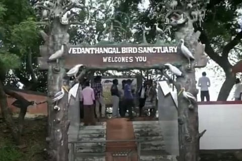 Vedanthangal Bird Sanctuary