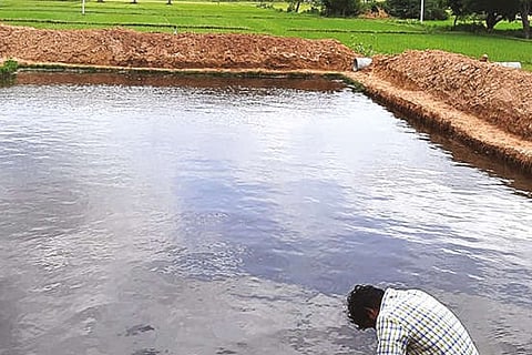 One of the completed farm filled with water in Tiruvannamalai.