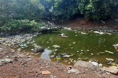 Garbage dumped in Kallikuppam pond.