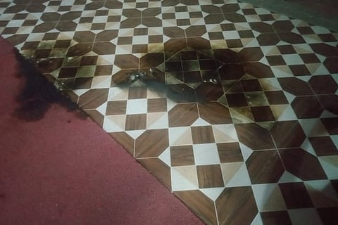 Visual from the BJP office (Image credit: ANI)