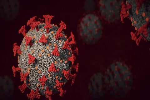 Representative Image (Image Credit: ANI)