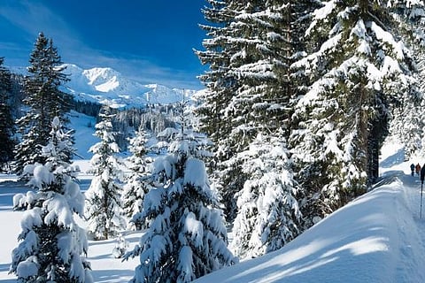 Representative Image