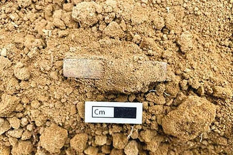 Four-face dice found in Keezhadi excavation site (File)