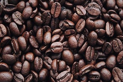 Representative Image (Image Credit: ANI)