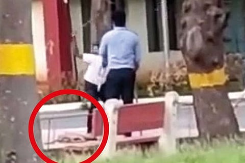 Dog was brutally beaten by the security guards on the premises of a university at Padur