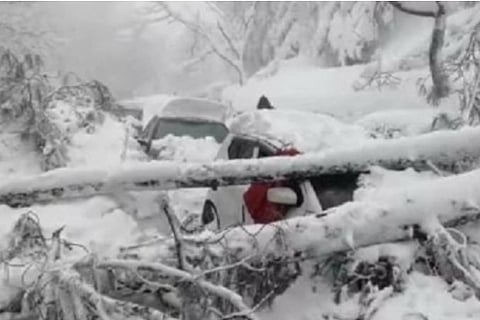 Representative Image (Image Credit: IANS)