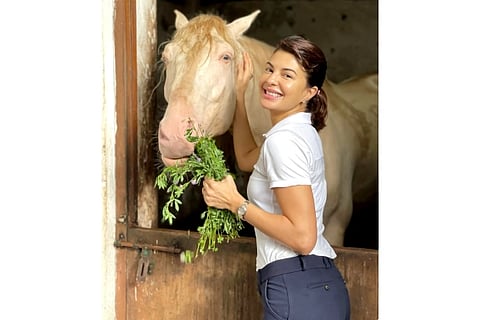 Jacqueline Fernandez (Image Source: Instagram)