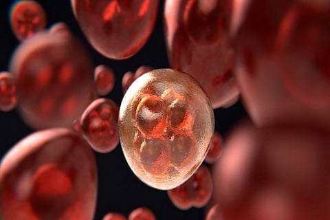 Representative Image (Image Credit: ANI)