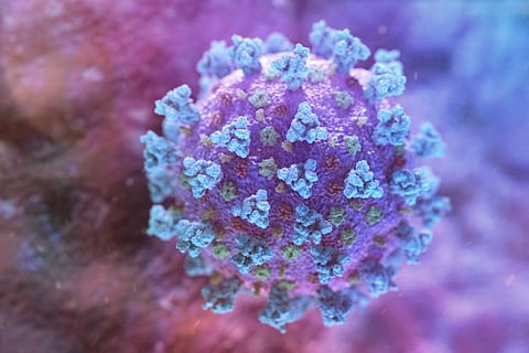 Image Courtesy: Reuters