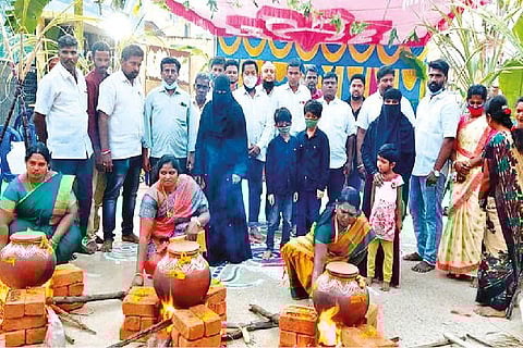Samathuva Pongal celebration at Devalapuram near Ambur