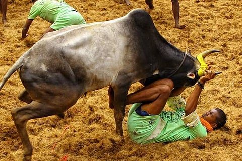 Image Courtesy: IANS