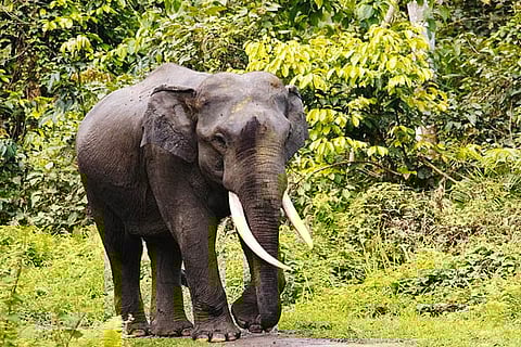 Representative image.