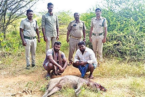 Visuals from the spot