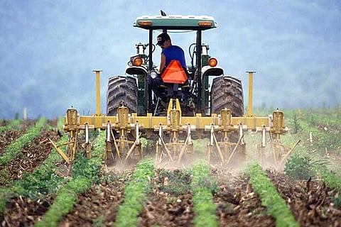 40 Tamil Nadu farmers to go to China and Israel on agriculture study trips