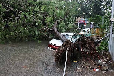 Aftermath of the heavy rains at Venkataratnam Road, near Teynampet