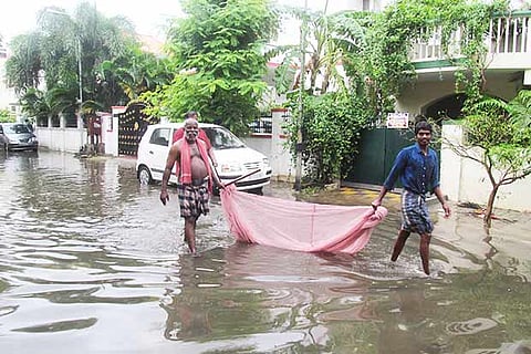 Residents of Bhashyam Layout Main Road, Adambakkam go fishing