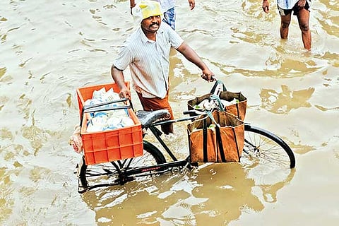 Chennai suburbs hit by milk shortage