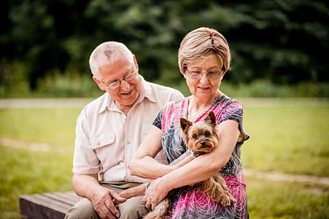 A high 'sense of purpose' in life lowers death risk