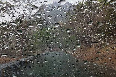 Freezing cold sweeps parts of Haryana & Punjab, mercury falls