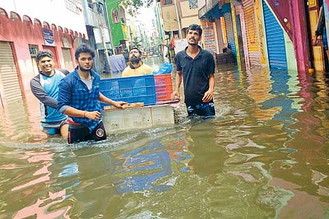 The team of volunteers in knee-deep water