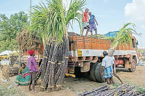 Leaders demand Rs 4,000 per tonne for sugarcane