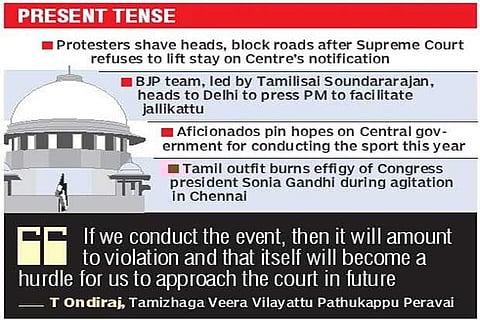 Southern districts on the boil as SC shuts gates for jallikattu