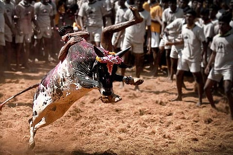 Protests erupt in Madurai district demanding Jallikattu