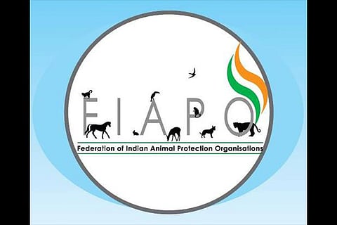 FIAPO Organisations helpline to prevent jallikattu