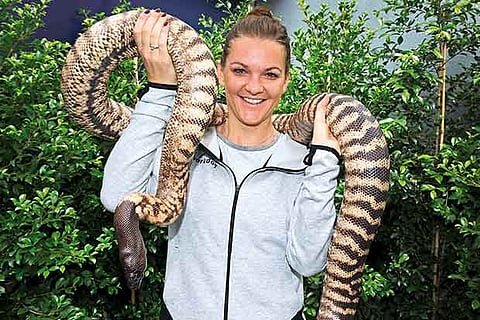 Face to face surprise for Radwanska