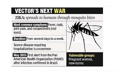 ‘Stop mosquito breeding to block Zika outbreak in Tamil Nadu’