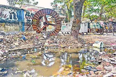 Sewage water stagnating near Balasubramania Lakshminarayanan temple (Photo: Justin George)