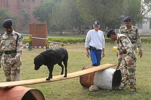 In a first, NDRF trains 160 dogs for disaster response