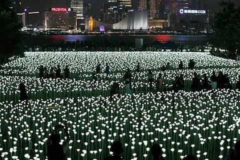 GOING VIRAL: 25,000 rose lights illuminate Hong Kong