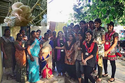 A group of women who cultivate oyster mushroom (above) that fetches them a stable monthly income