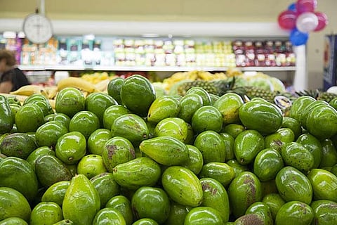 Eat avocado to improve cholesterol levels