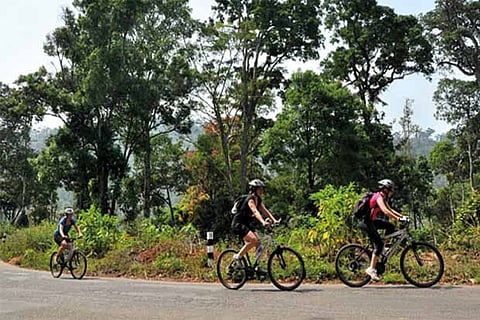 People cycling from Kochi to Alleppey