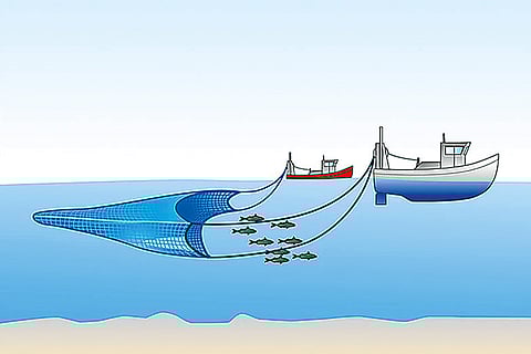 An illustration depicting the purse seine fishing technique