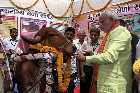 Prime Minister Narendra Modi
