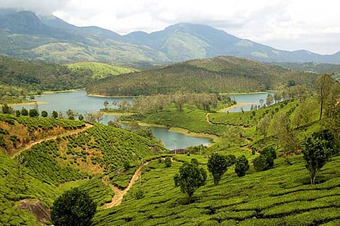 The tea plantations and a lake in the middle - Yelagiri