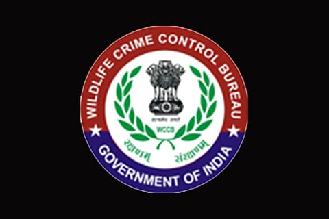 Wildlife Crime Control Bureau (WCCB)