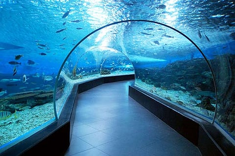 A representative picture of the oceanarium coming up in Diu Island