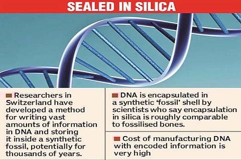 Scientists to fossilise DNA data to last thousands of years