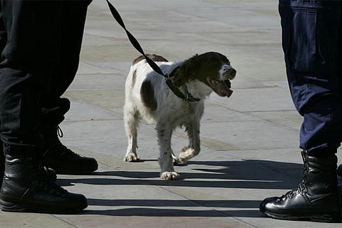 A police dog handler talks with a colleague as his sniffer dog waits in Manchester