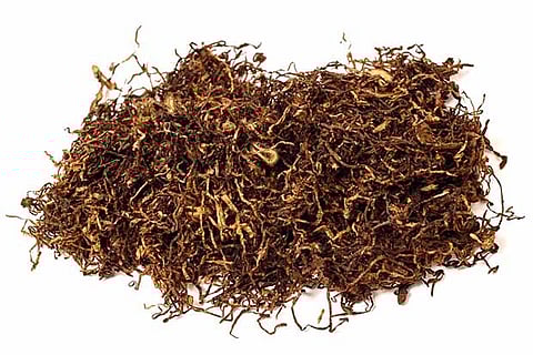 Representative image of tobacco