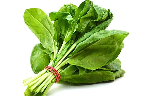 Grandma's Wisdom: Why spinach is super healthy